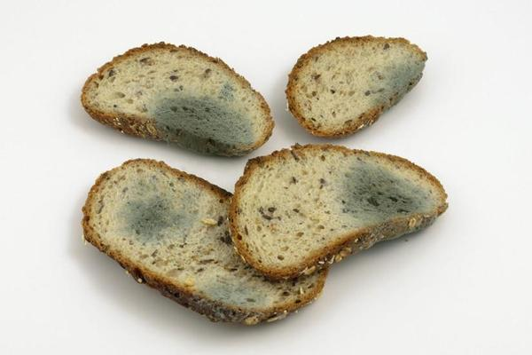 什么是相對(duì)濕度和*對(duì)濕度(圖3) 1689066360398.jpg